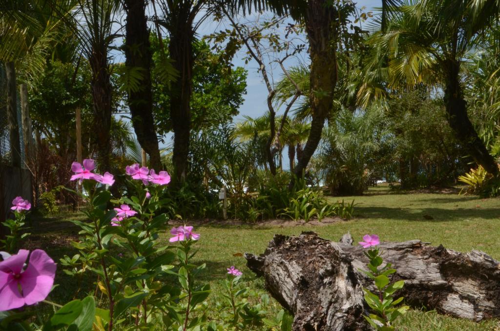 Pousada Tortuga Barra Grande  Exterior foto